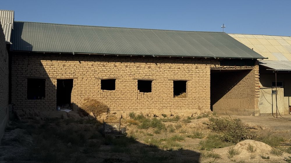 Участка сотилади ( аэропротда, хавоси тоза ва тинч жойда )