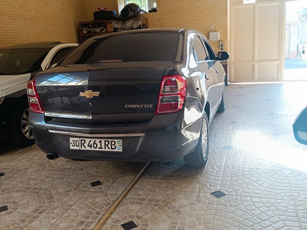Colabt 2018 йил.