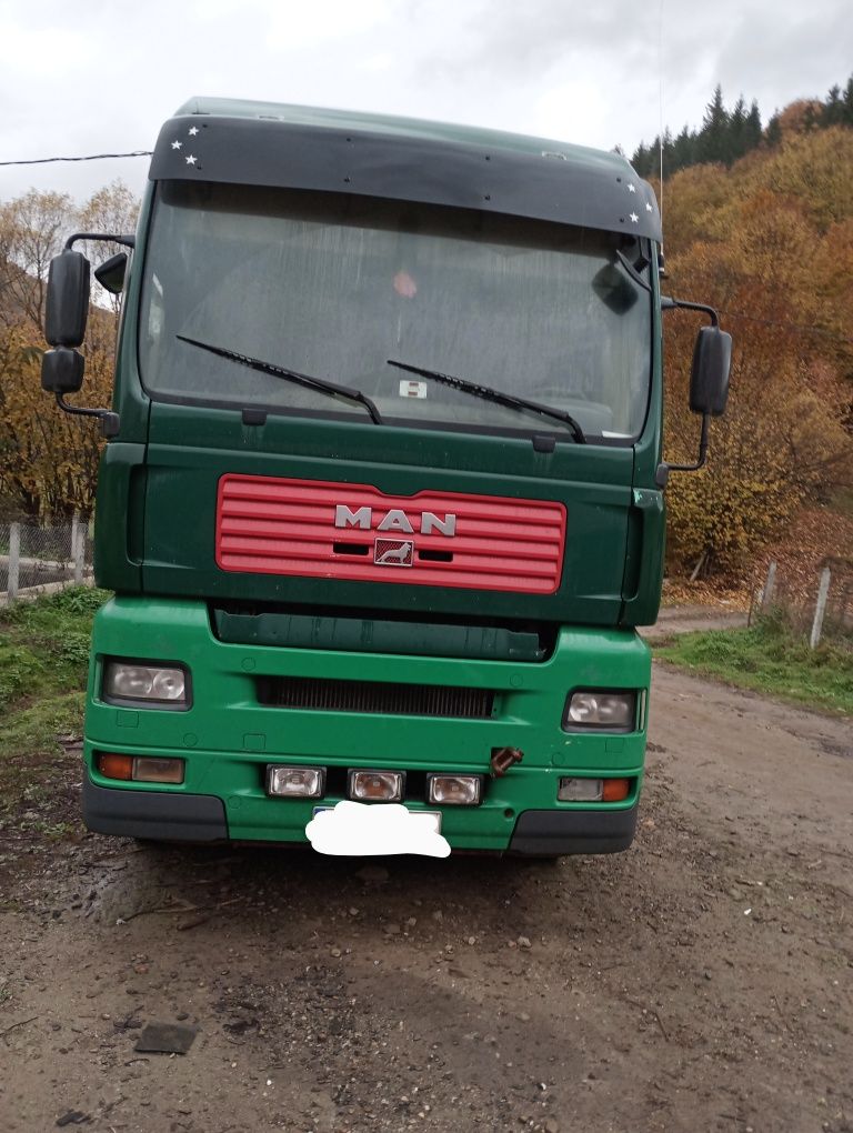 Camion. Forestier