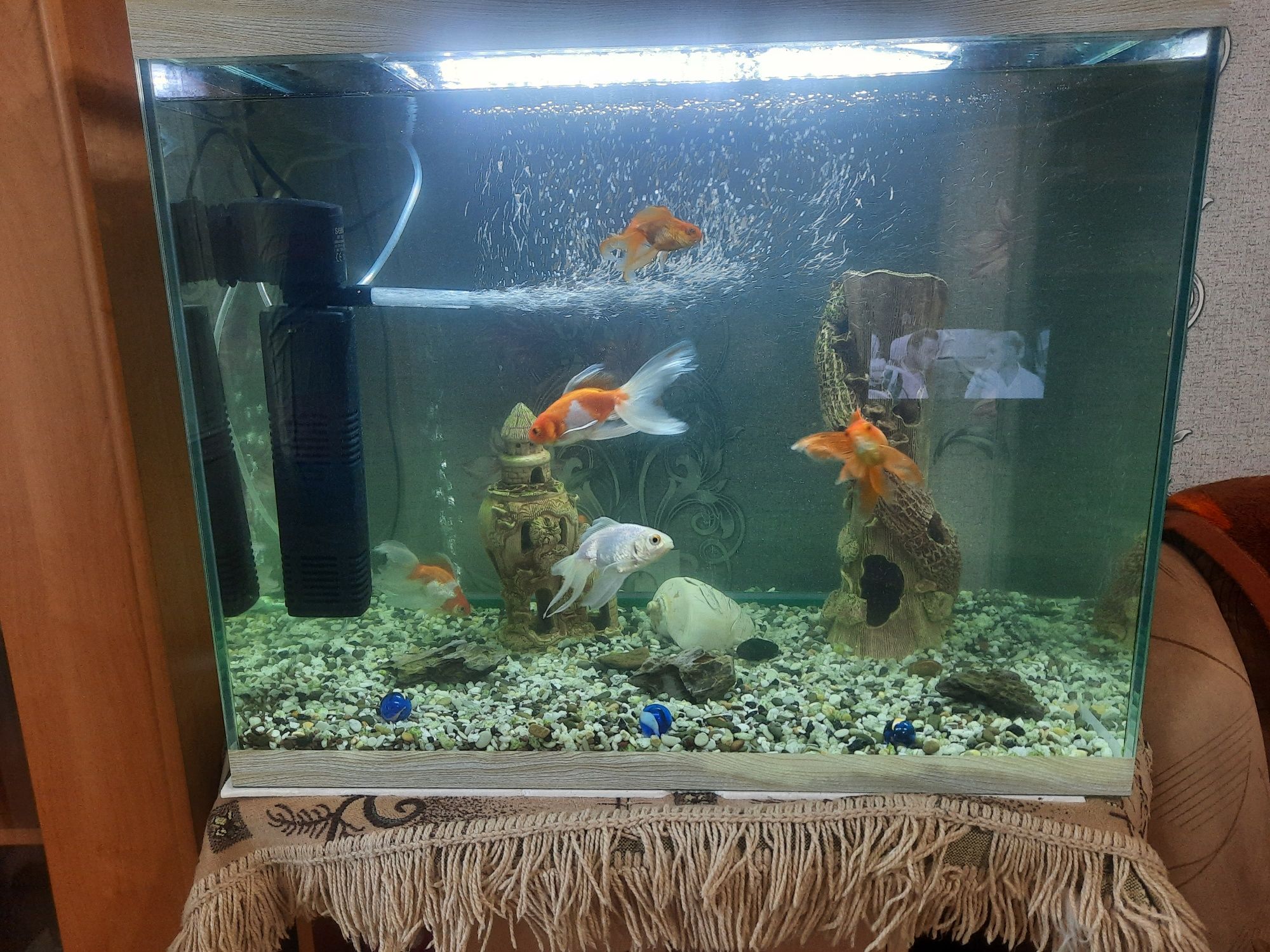 Продам аквариум с золотыми рыбками
