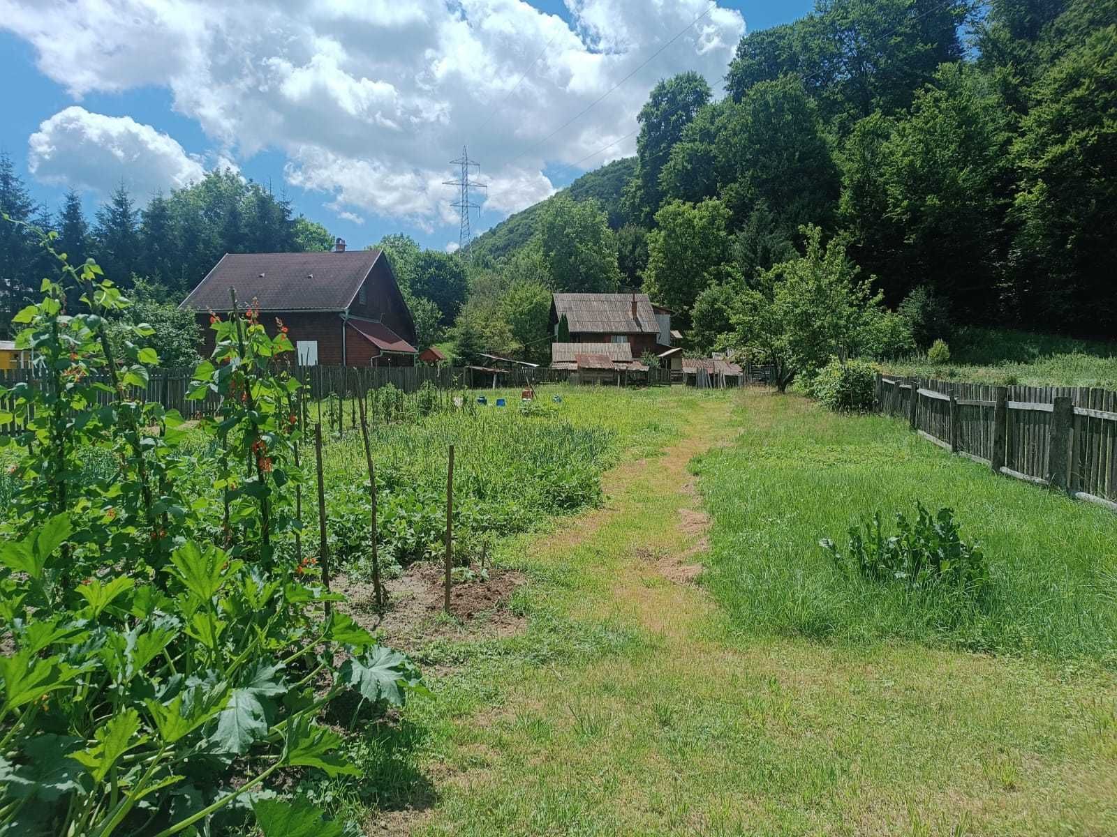 Teren de vanzare in Praid,Harghita