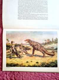 Продам старую книгу 1963 года о доисторическом животном мире .