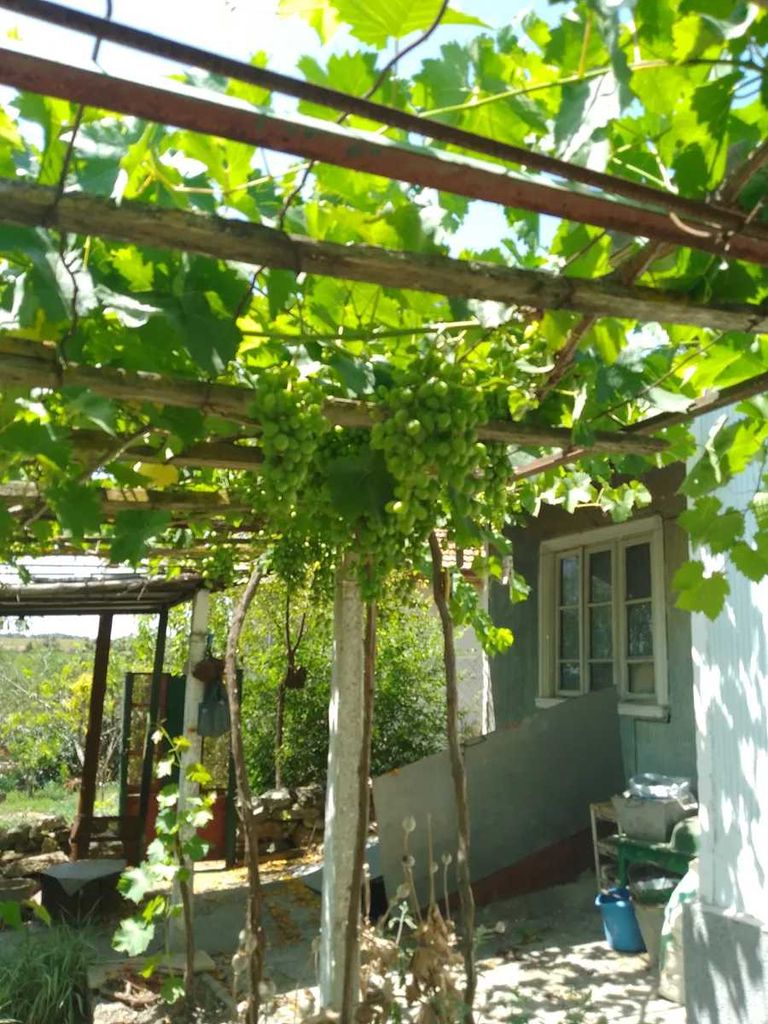 Продава се Къща в с. Красен, Област Добрич - 90 кв.м за 206 €/кв.м - Снимка #2