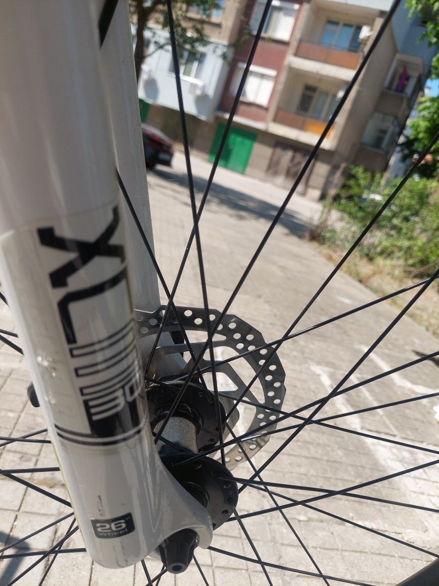 26 CROSS Dexter DB BRW