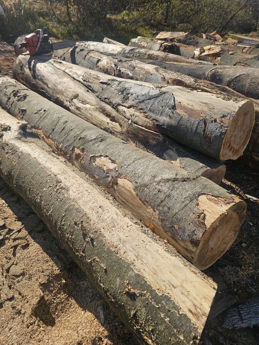 Lemn de foc esenta fag!