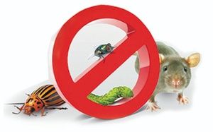 Дезинфекция Скидки до15%от клопов тараканов крыс