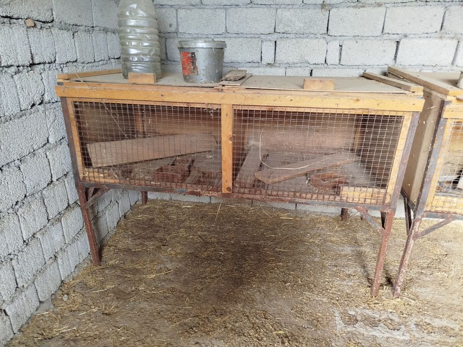 Клетки для кроликов маточники