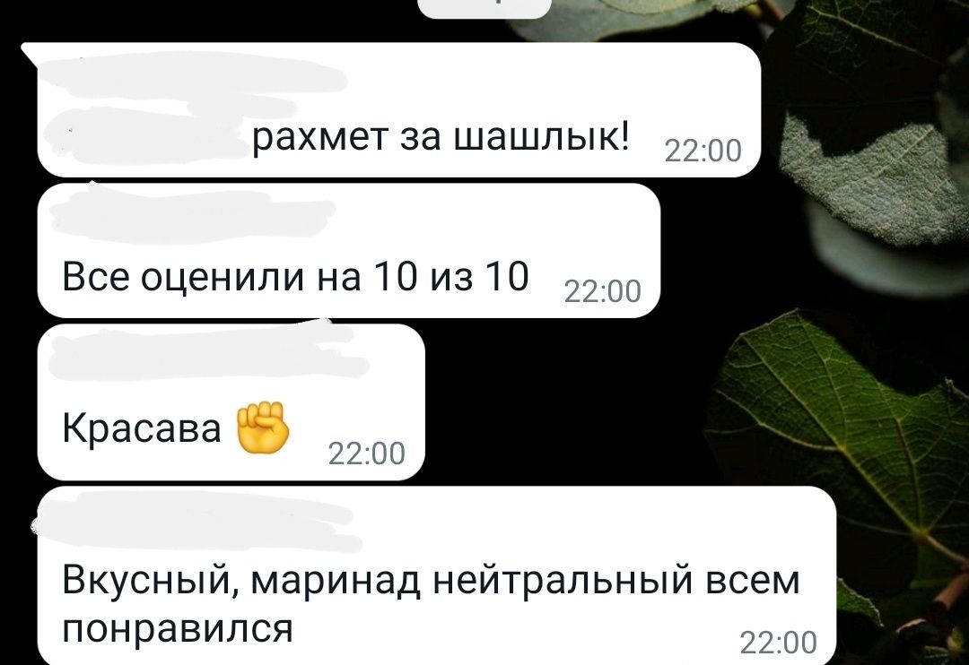 Маринованное мясо / шашлыки