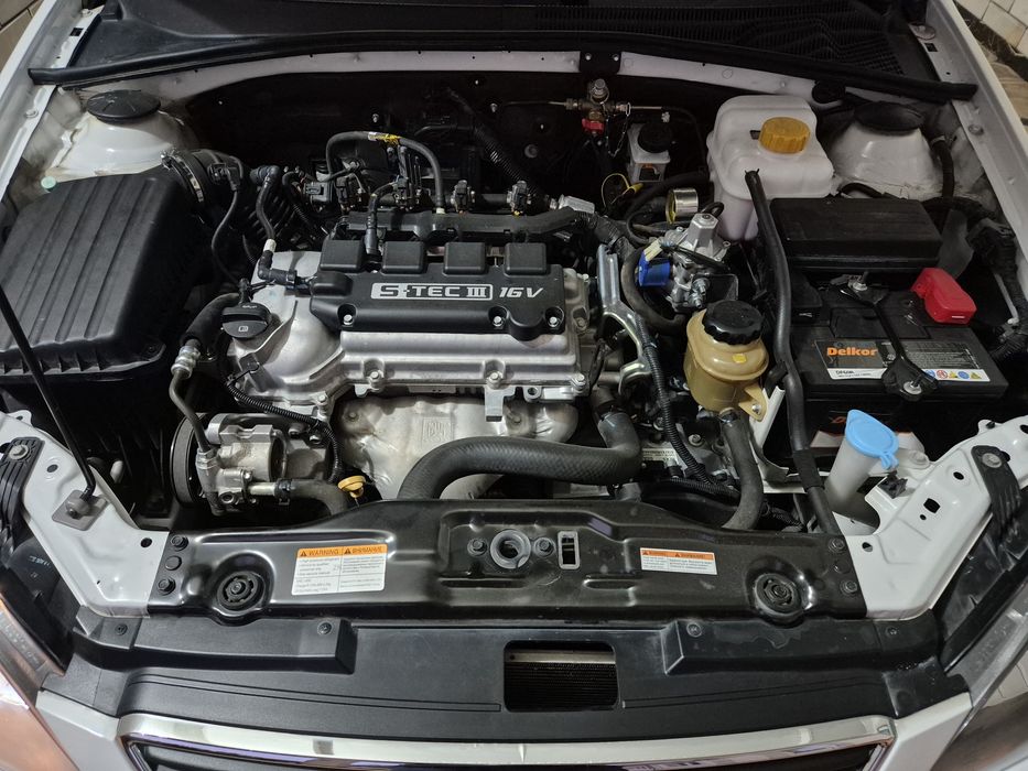 Жентра элегант плюс. Идеал.