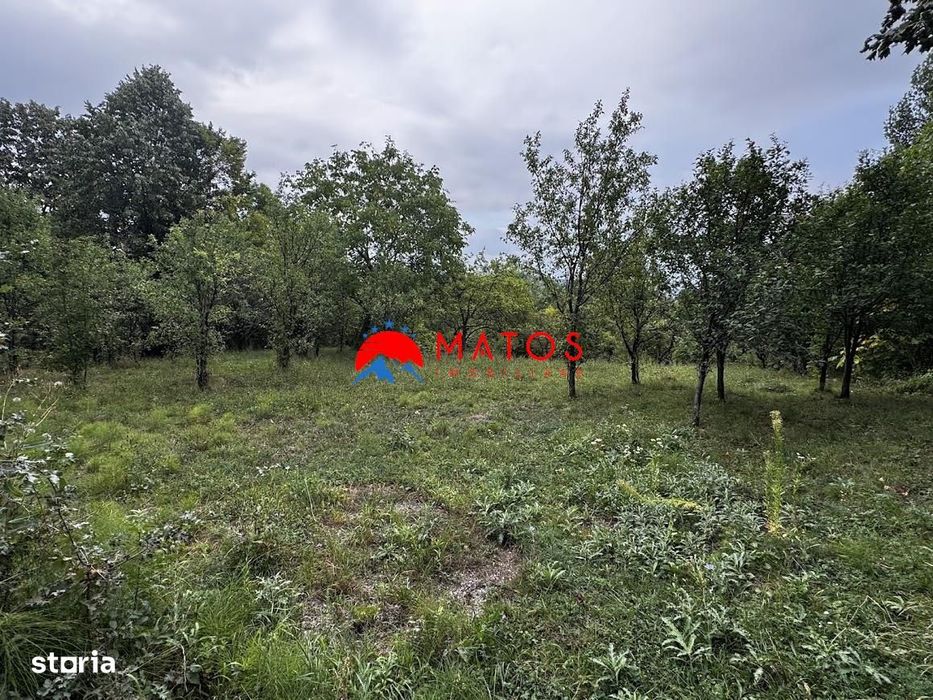 Teren intravilan 1000 mp Poiana Câmpina – vedere panoramica