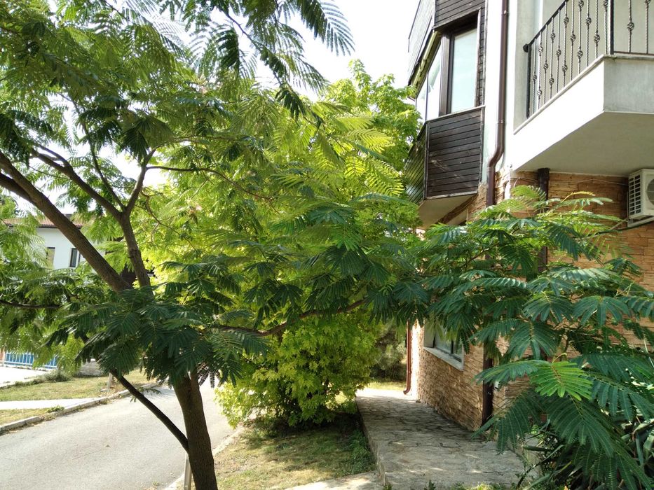 Продава се Къща в Варна, Център - 345 кв.м за 1287 €/кв.м - Снимка #1