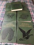 Раритетное советское издание книг(1989 г) « Жизнь животных» в 7 томах