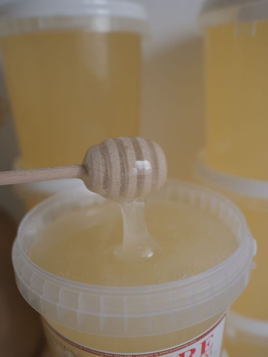 Miere de salcâm, tei sau poliflora