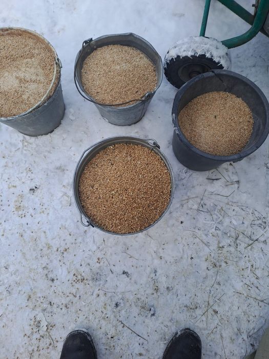 Корма  для сельхозживотных