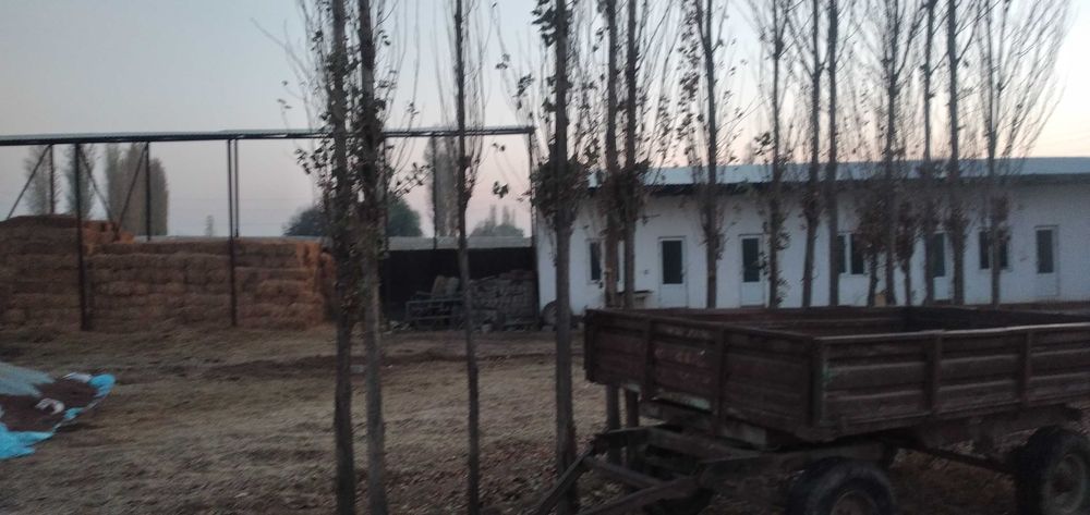 Сдается в аренду ферма