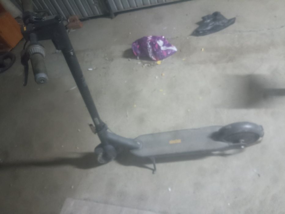nainbot original