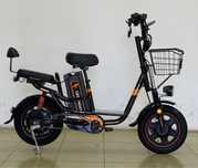 elektra velik Drongo