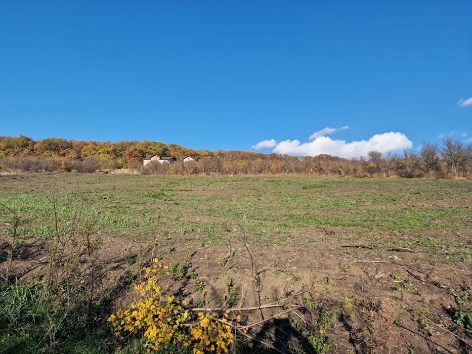 Teren intravilan Bistrita