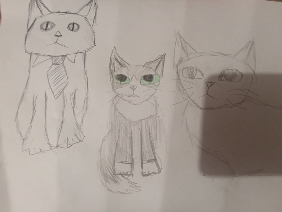 Нарисую ваших домашних животных