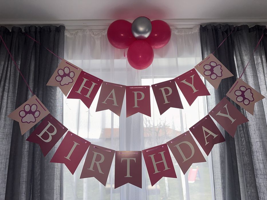 Украса Скай Пес патрул