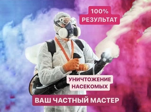 Дезинфекция от клопов, тараканов, блох. Результат 100%