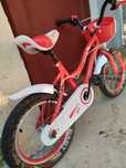 Bicicleta 16 inch