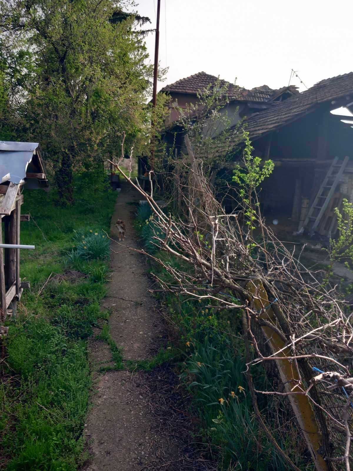 Къща с двор в село Михалци