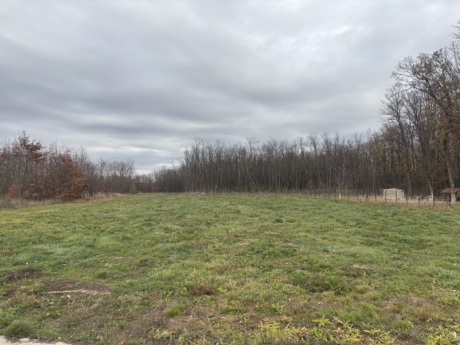 Teren intravilan comuna Osorhei(sat Alparea)