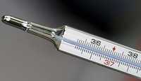 Termometru pentru temperatura corpului cu precizie inalta de masurare