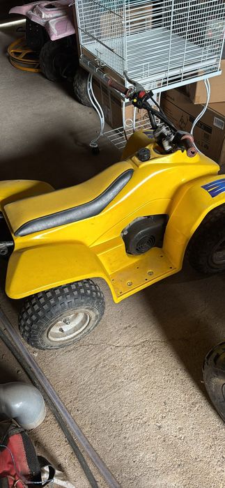 Atv copii Quadzilla buzz