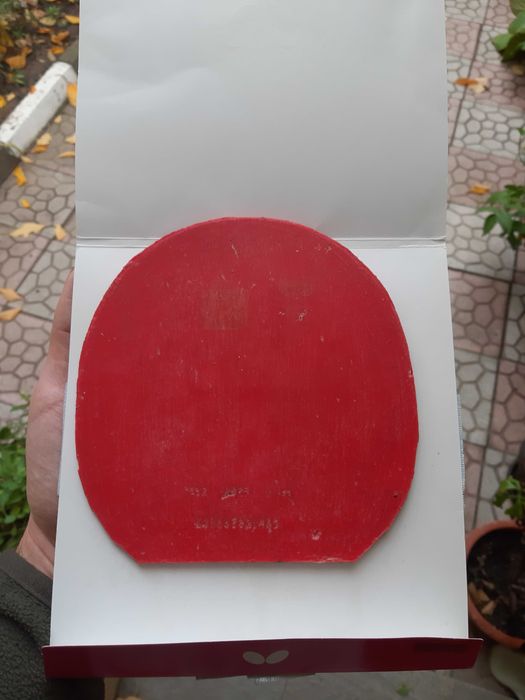 Fata de paleta Butterfly Dignis 09c