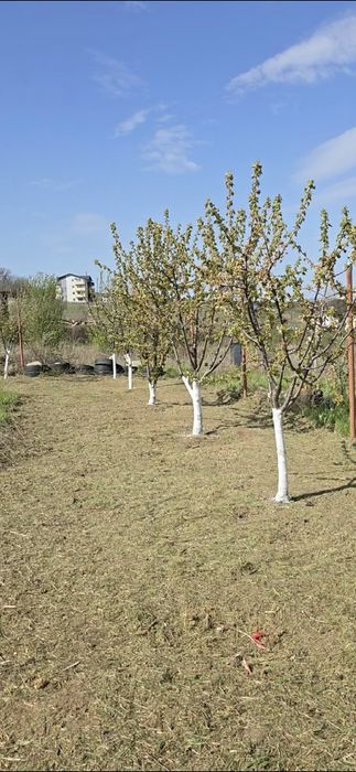 Vand teren intravilan zona Bucium