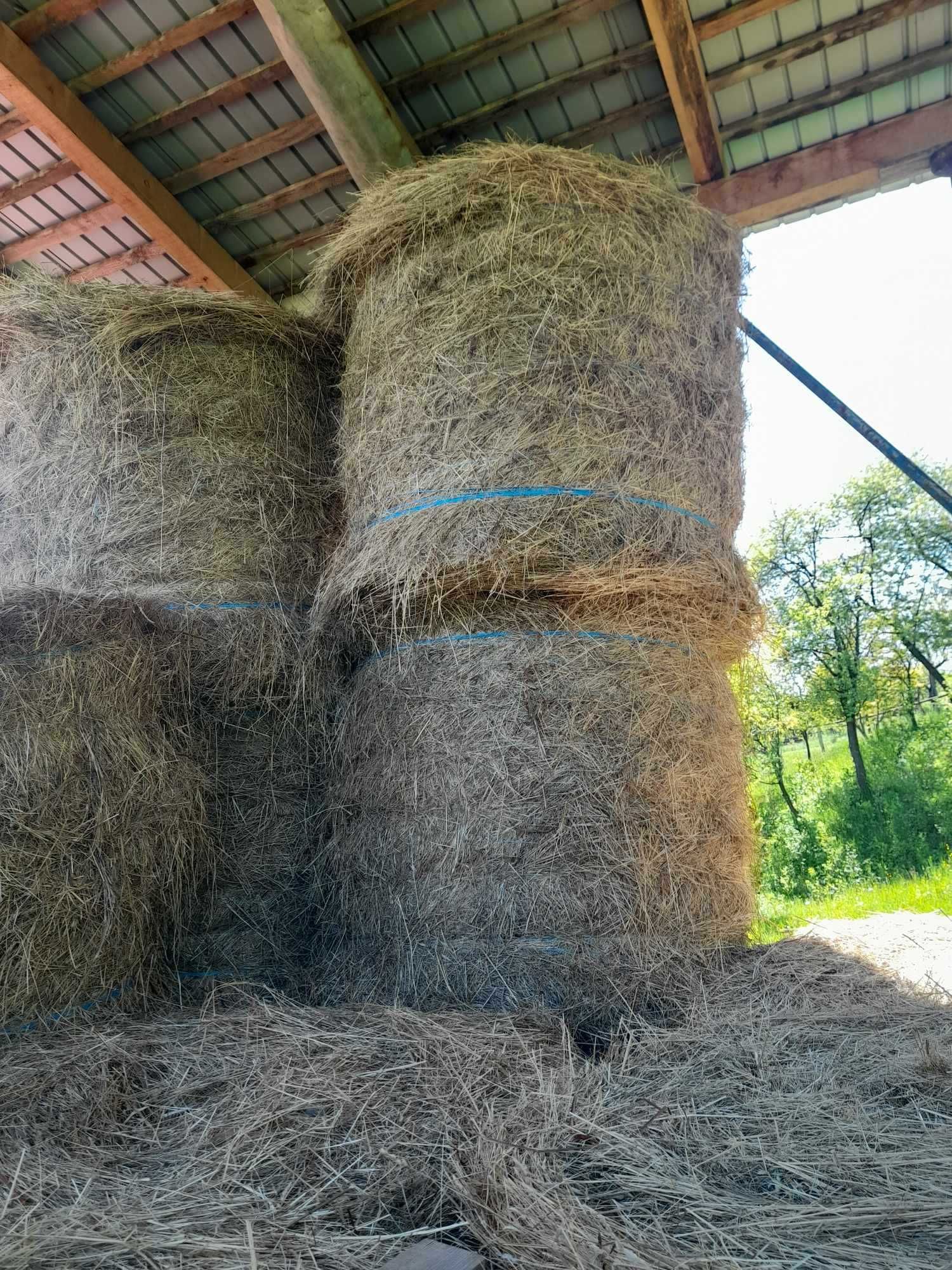 Vând baloți rotunzi de fân