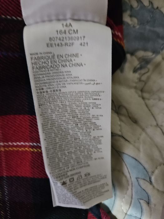 Jacheta Levi s baieti