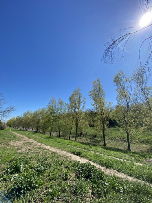 Teren intravilan 1137 mp, apa curenta, acte la zi