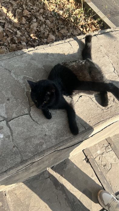 .	Помогите малышу встретить зиму в тепле