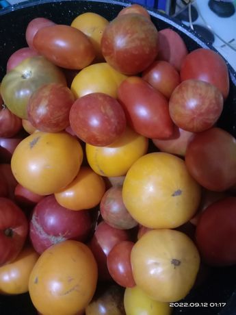 Продам помидоры  домашние