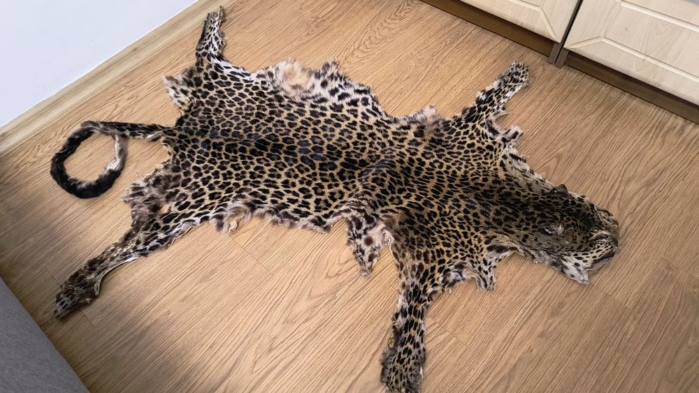 Blana leopard naturala