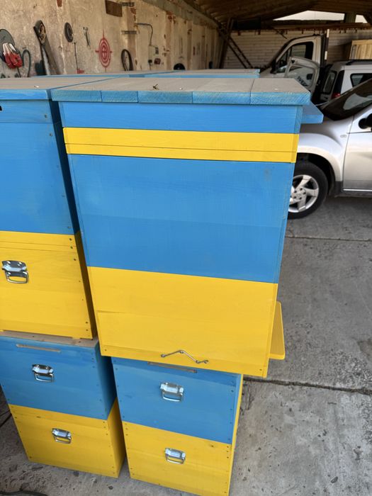 Vand lazi duble pentru albine fara rame.