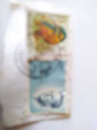 2 белгийски марки