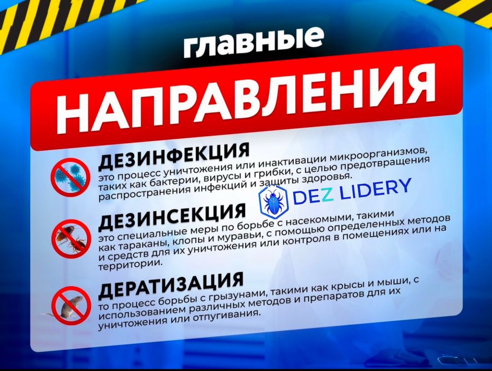 Дезинфекция таракан клоп қандала жук коред мышей крыса в горд Шымкент