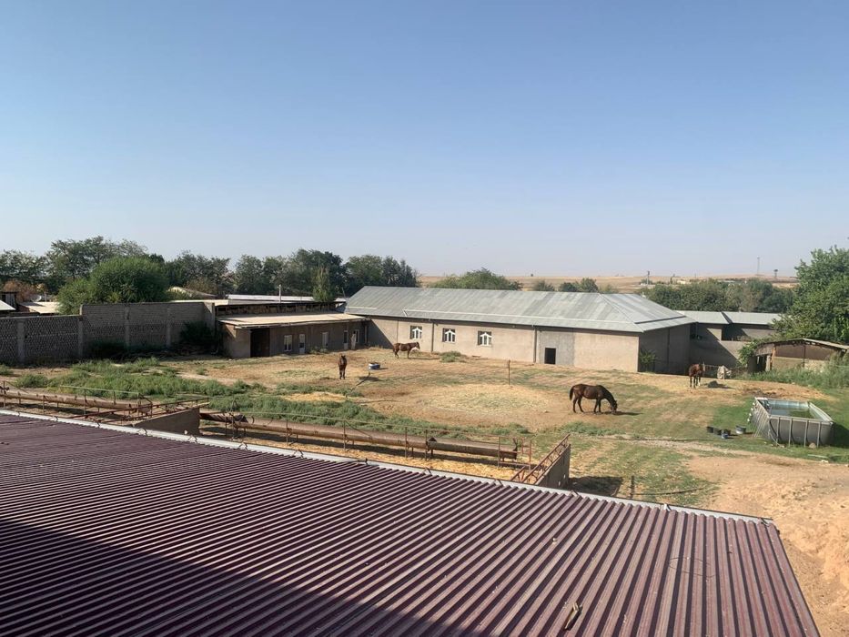 СРОЧНО!!! Продаётся ранчо с домом, участок 40 соток