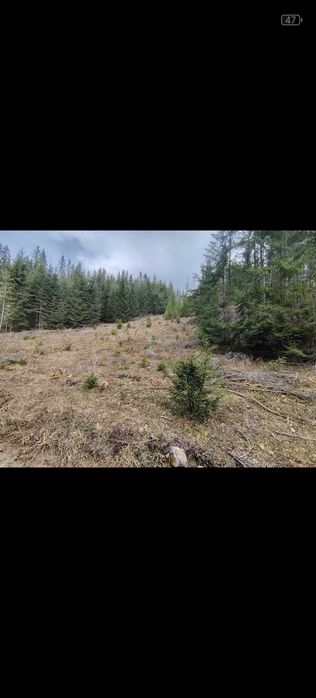 Teren EXTRAVILAN,  Saru Dornei, 22559m.p