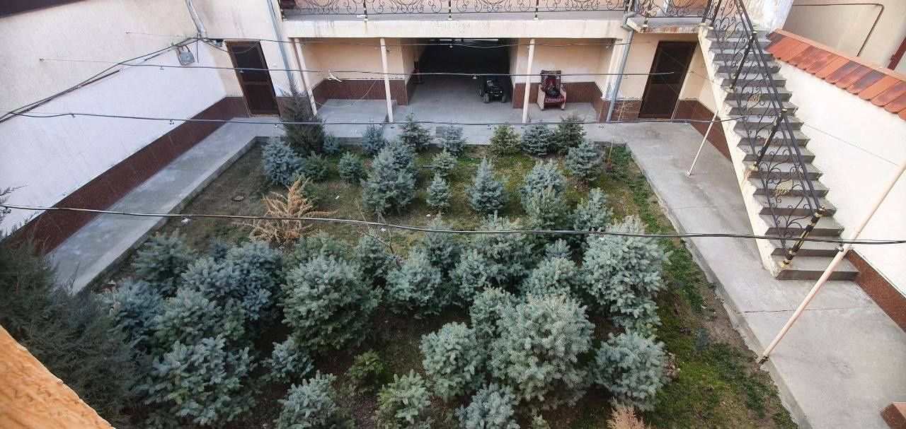 Archa galuboy  razmerlari har hillari bor
