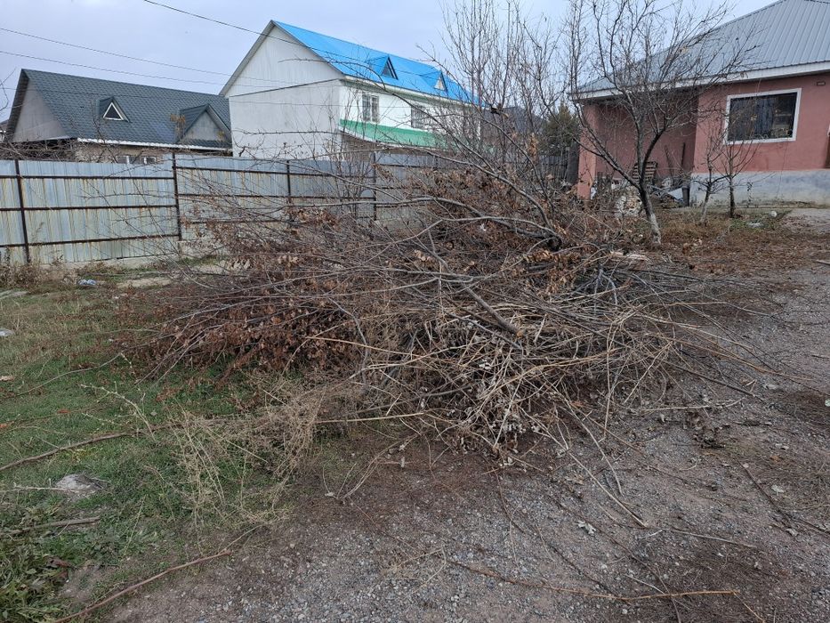 Дрова отдам даром