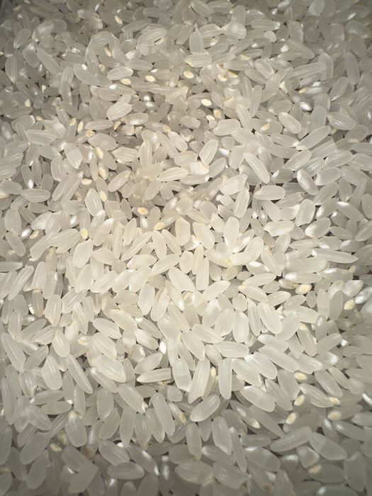 Guliston lideri guruchi