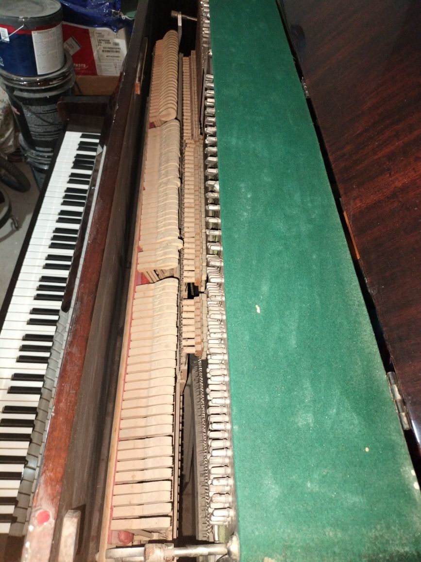 Pionina sotiladi