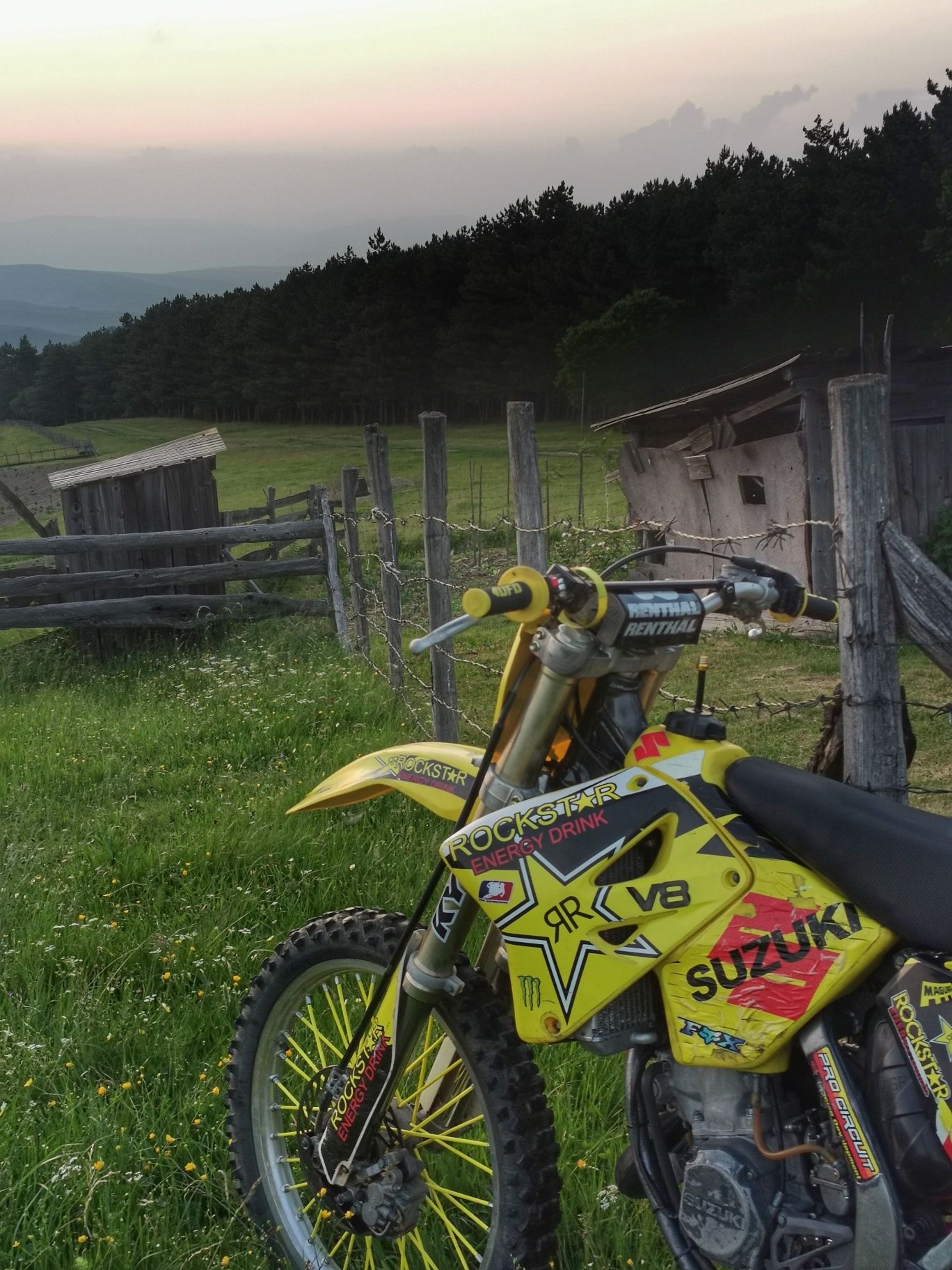 Suzuki RM 125 2t pw