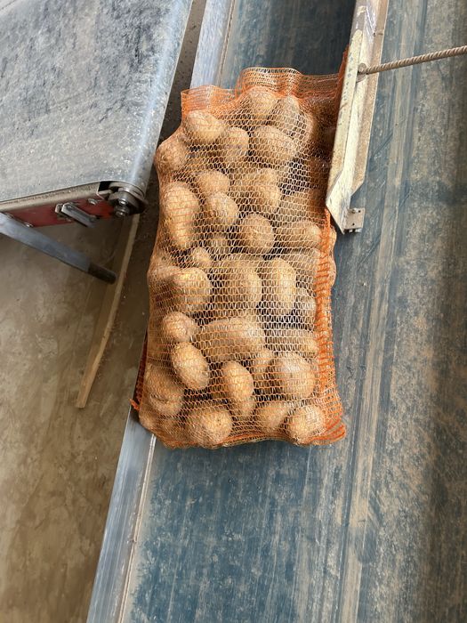 cartofi roșii și albi