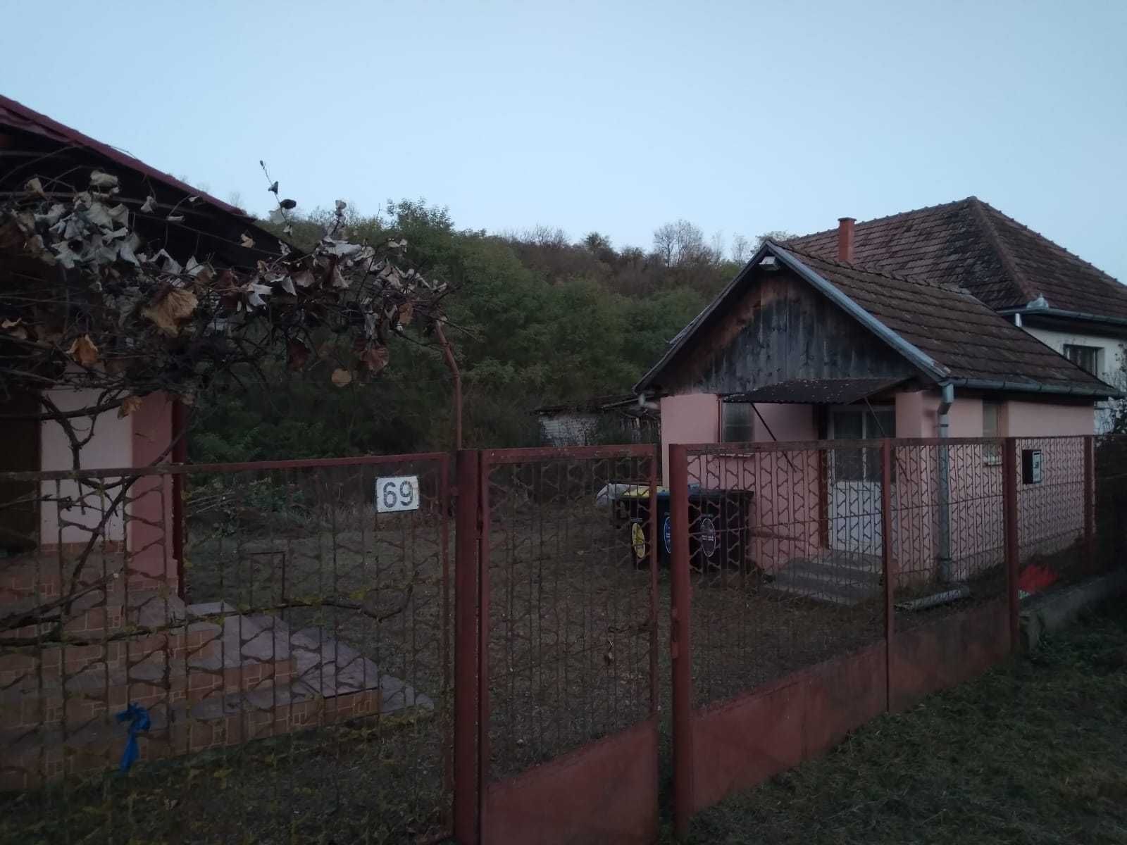 Casa de vanzare la tara